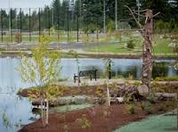 Porous Asphalt at Yauger Park LID Stormwater Facility